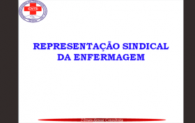 EJ-representacao-sindical