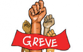 capa greve