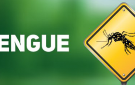 capa dengue