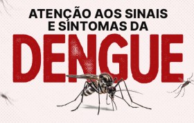 aedes-grande-Dengue