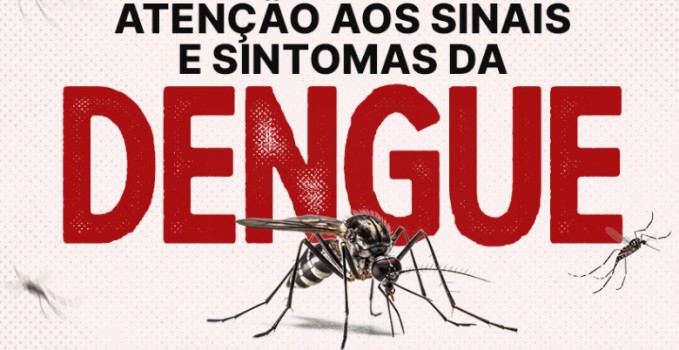 aedes-grande-Dengue