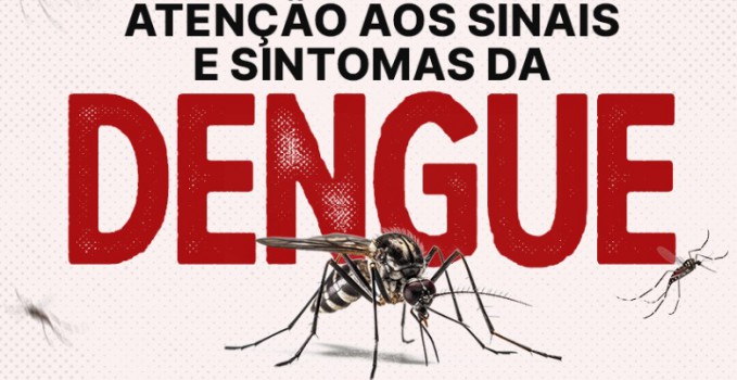 aedes-grande-Dengue